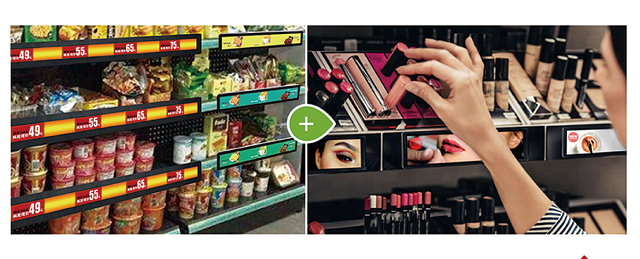 txyjp25082105 txyjp25082105